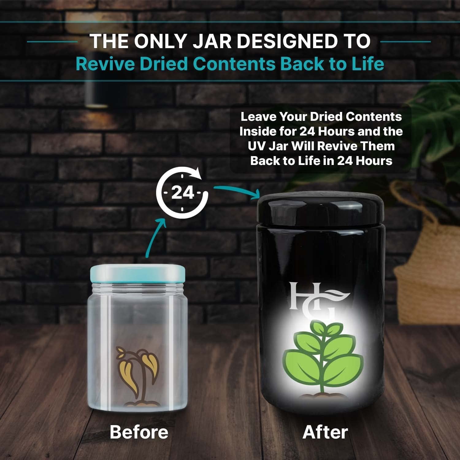 Herb Guard – 2 Oz Airtight Ultraviolet Jar (1 Liter) Keeps Herbs Fresh for Mo…