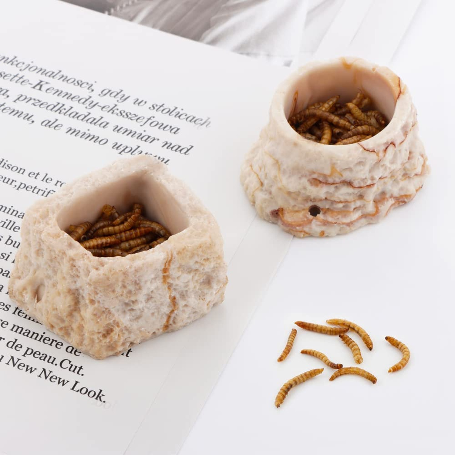 2 Pack Micro Water Bowl Mini Anti-Turnover Resin Dish for Lizard Frog Scorpio…