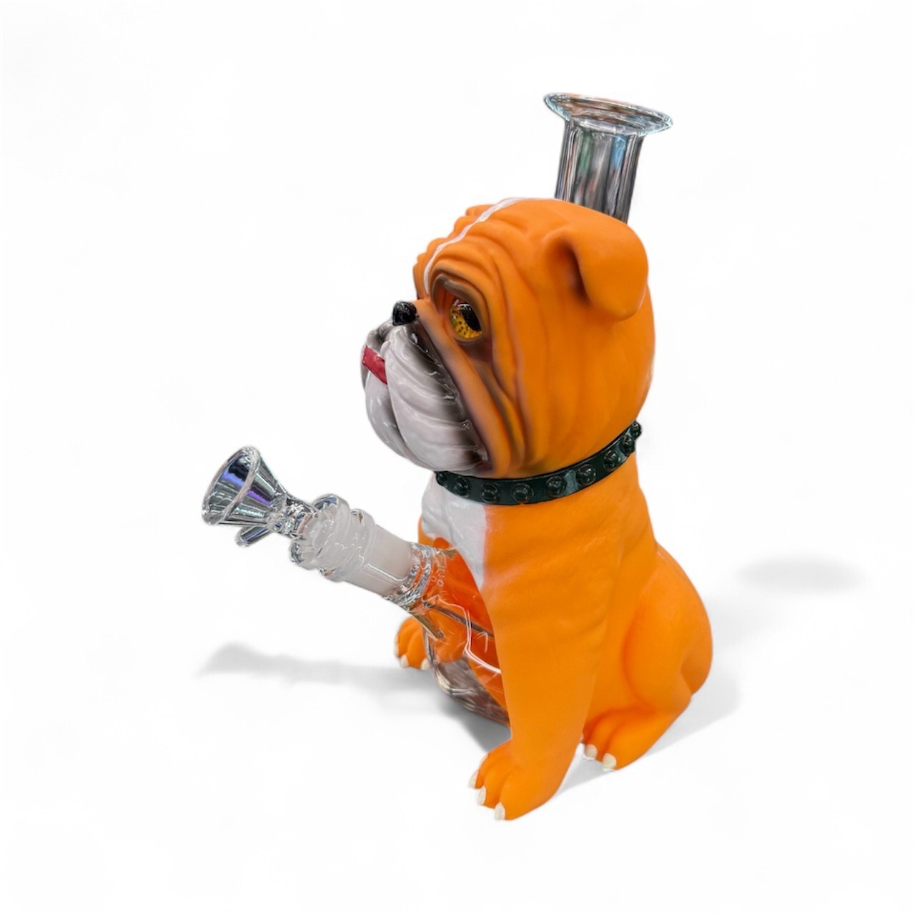 8 » Bulldog Themed Glass Bong – Cute Dog Design with Collar Collector Art Piece