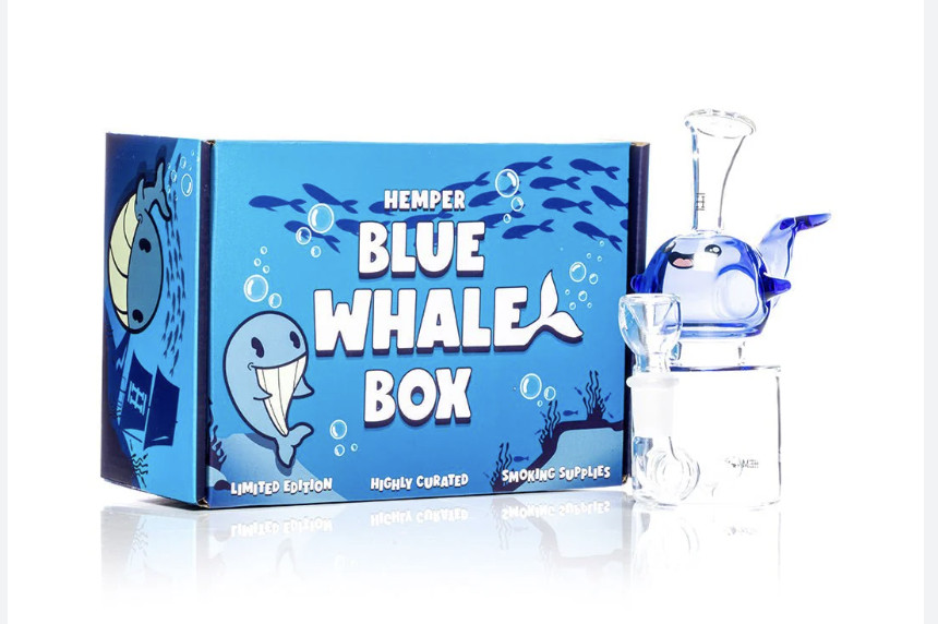 Blue Whale Bong by Hemper