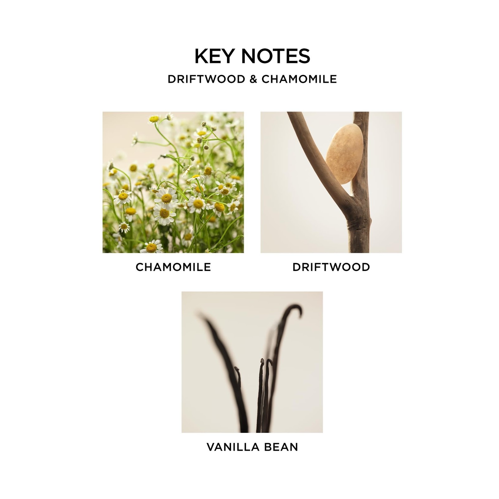 NEST New York Reed Diffuser, Driftwood & Chamomile – The Wellness Collection …