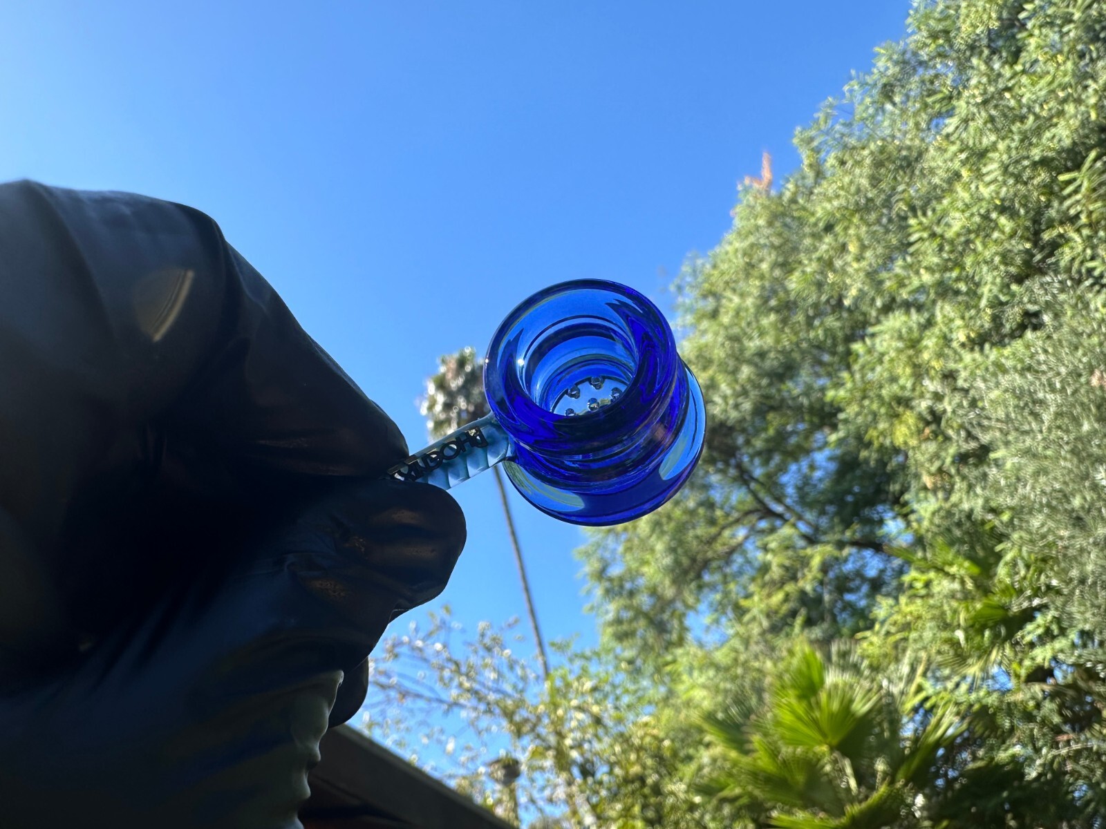 Phoenix Star 14mm Thick Glass Bong Deep Blue Bowl 7-hole Filter Screen ✨✨✨✨✨