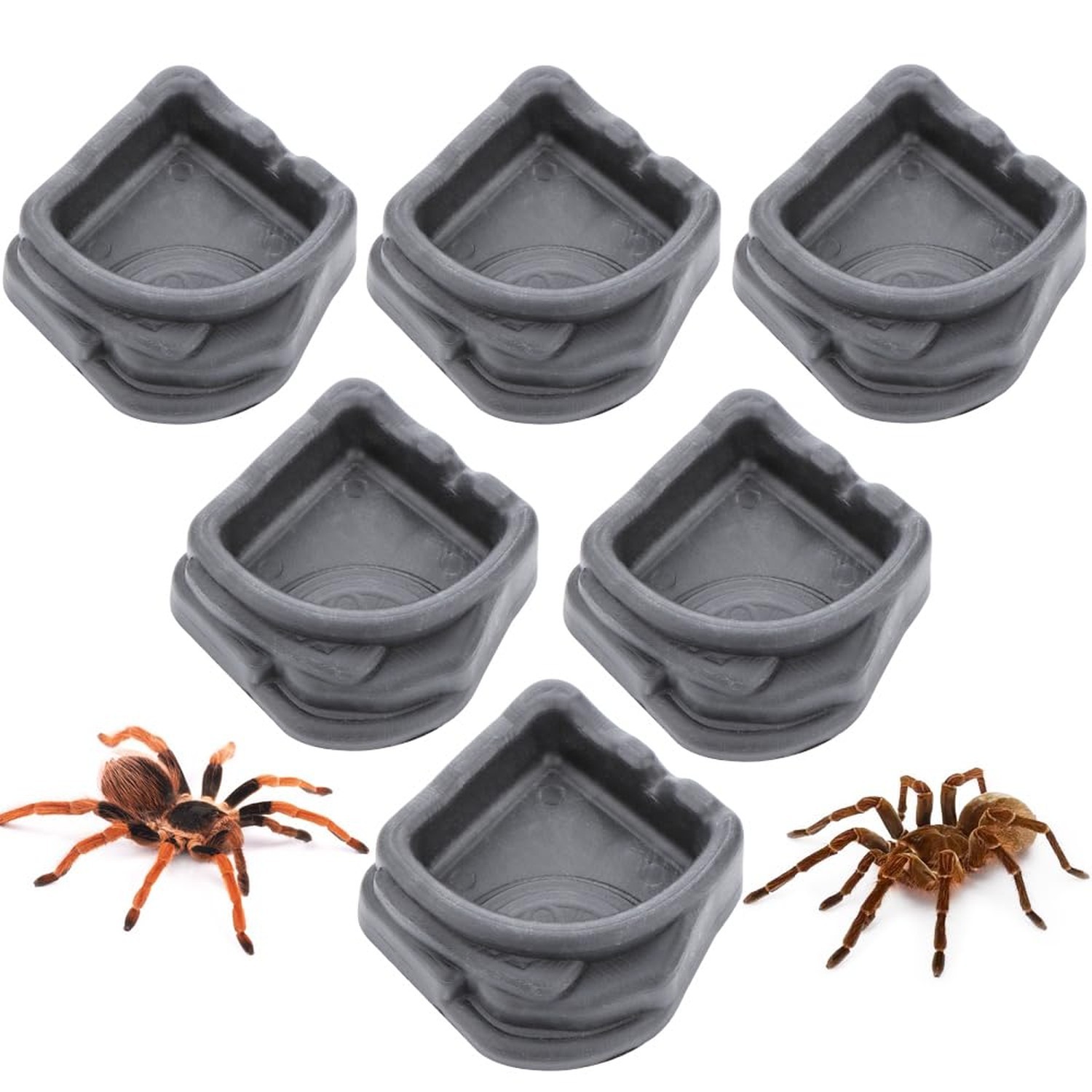 6 Pcs Spider Micro Water Bowl, Small Resin Dish for Tarantula Hermit Crab Spi…