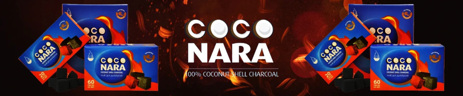 Coco Nara 120 pcs Flat Hookah Charcoal 100% Natural Coconut Shell Coconara Coals