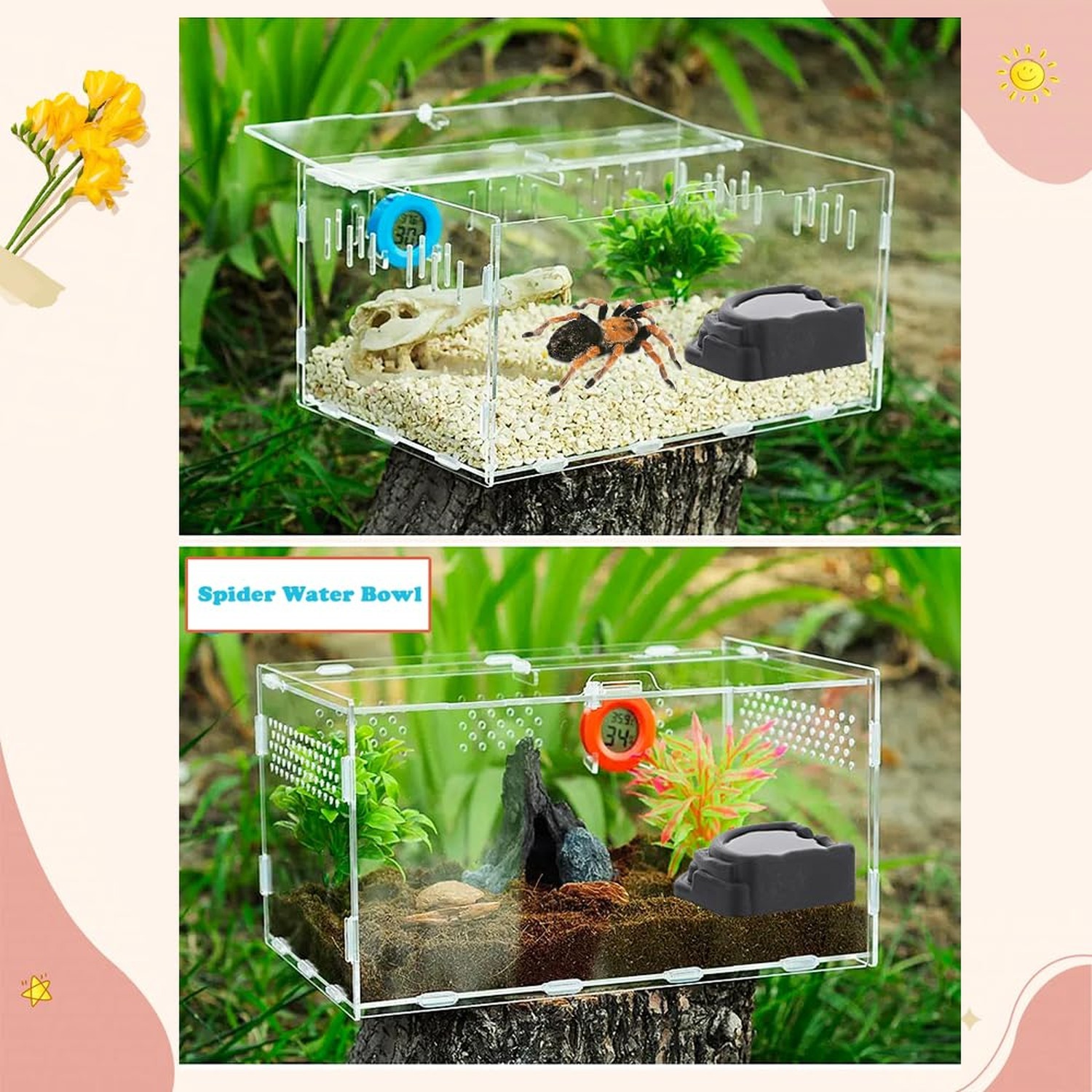 6 Pcs Spider Micro Water Bowl, Small Resin Dish for Tarantula Hermit Crab Spi…