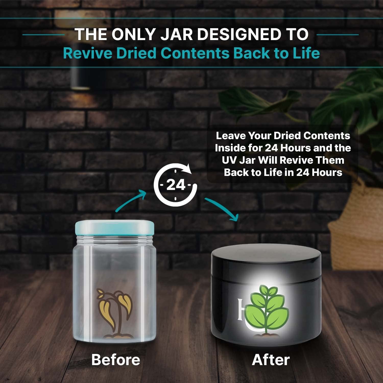 Herb Guard – Glass Airtight Jar & Container with Upgraded Child Resistant Lid…
