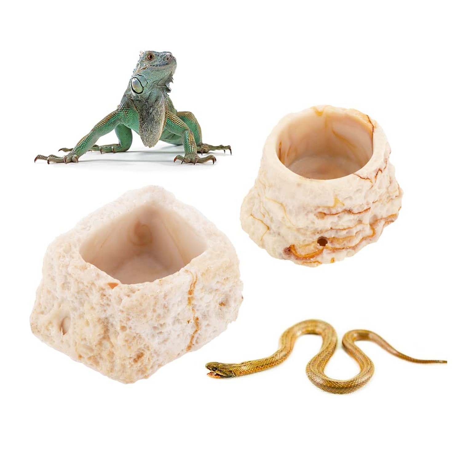 2 Pack Micro Water Bowl Mini Anti-Turnover Resin Dish for Lizard Frog Scorpio…