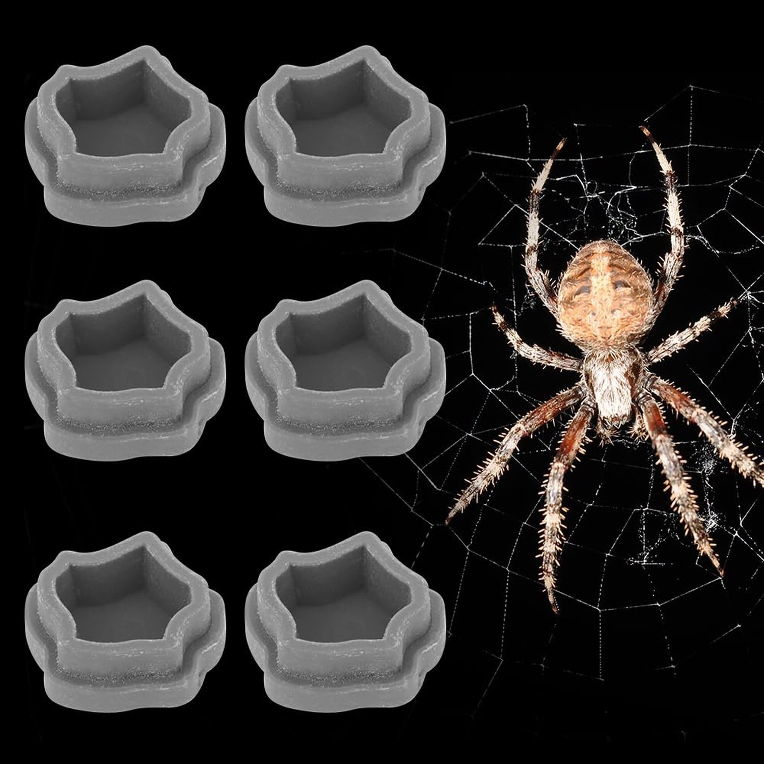 6 Pcs Spider Micro Water Bowl, Mini Resin Dish Tiny Bowl for Tarantula Spider…