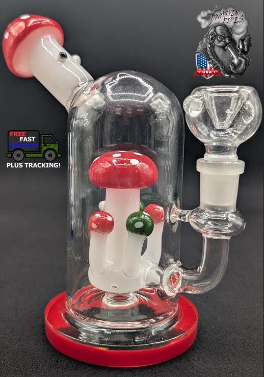 6&Prime; Inch Glass Hookah Water Pipe Bong Mushroom Style RE
