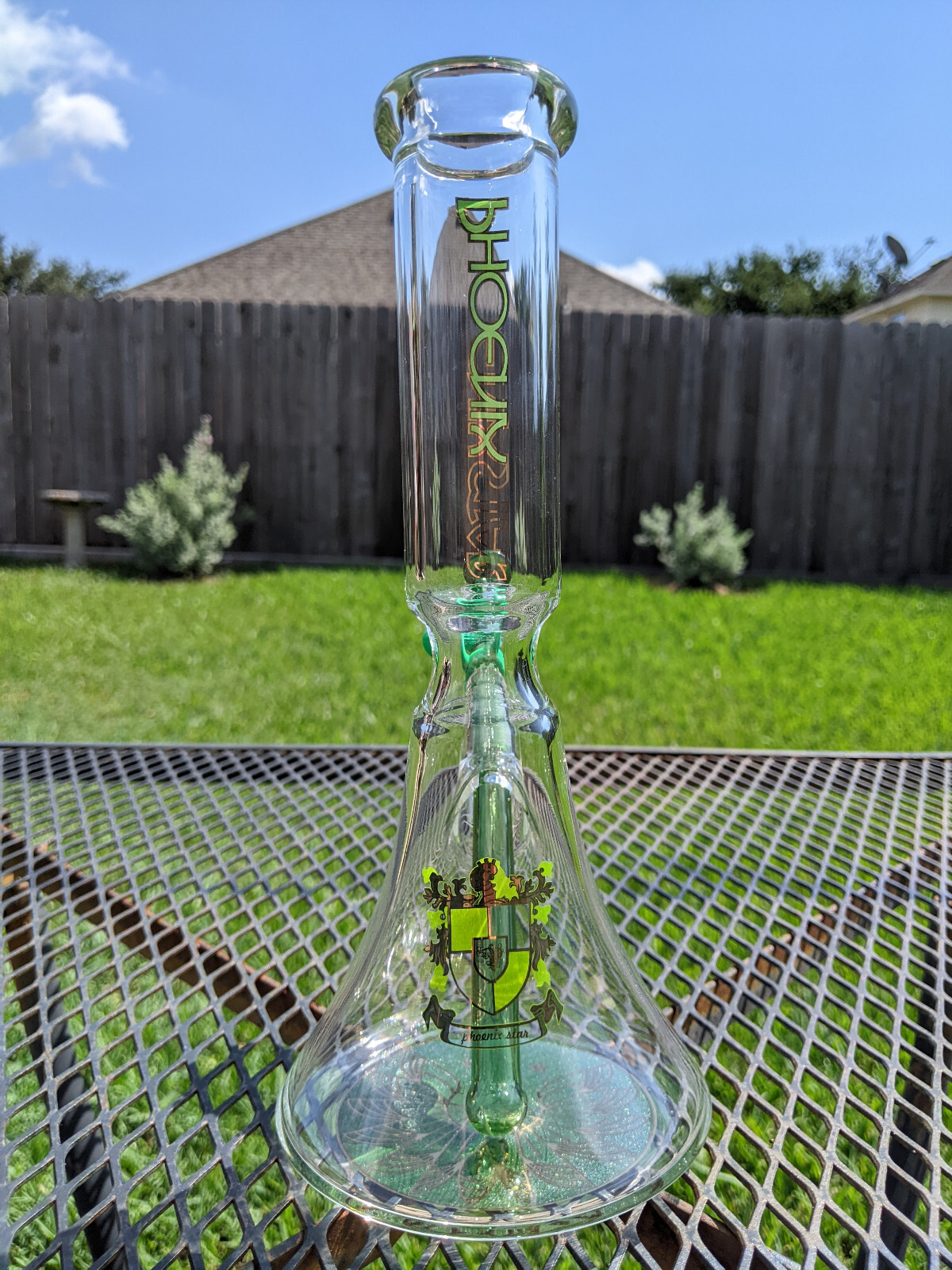 Glass Beaker Water Pipe – Phoenix – 10&Prime; inch – 14.4mm – Green v2