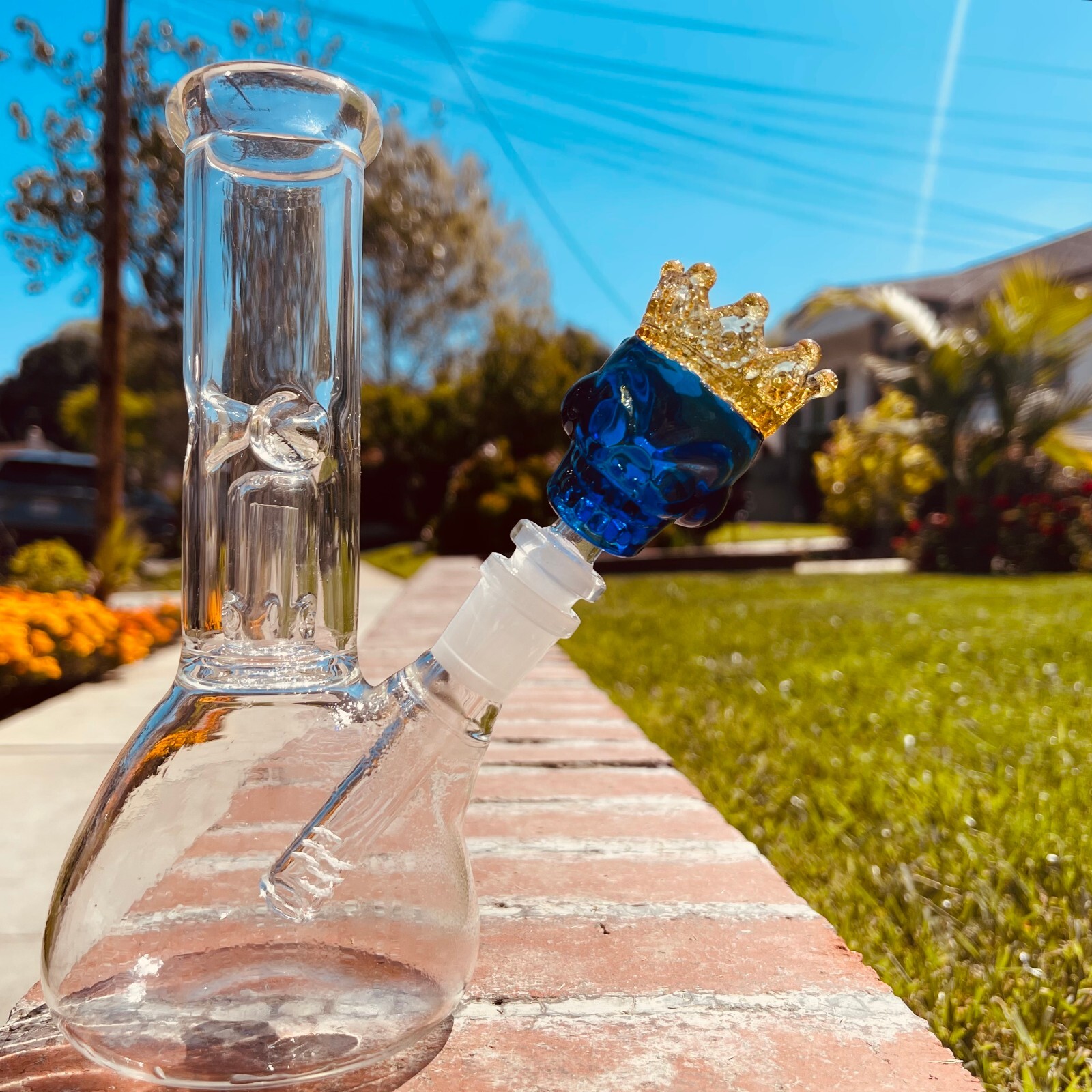 Premium 14mm Thick Glass Blue Skull King in Crown Bowl Head for Bong Repalcment