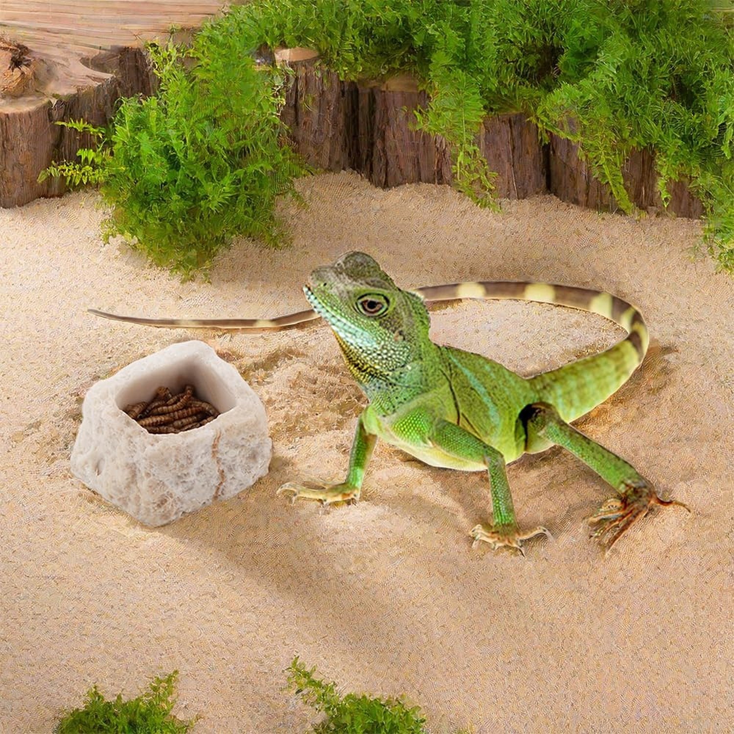 2 Pack Micro Water Bowl Mini Anti-Turnover Resin Dish for Lizard Frog Scorpio…
